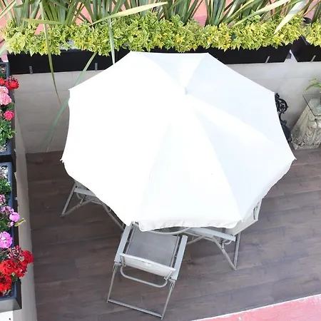 Departamento Frida Kahlo - Dpto De 1 Habitacion - Bella Terraza Comun - Zona Tranquila En Cdmx