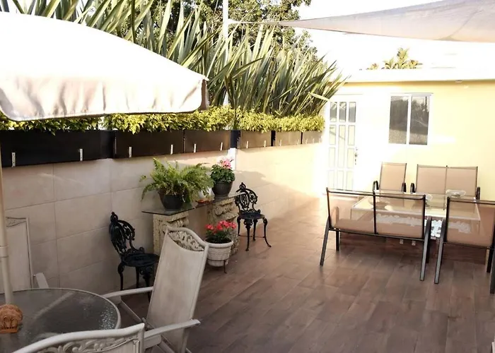 Departamento Frida Kahlo - Dpto De 1 Habitación - Bella Terraza Común - Zona Tranquila En Cdmx Apartamento México DF